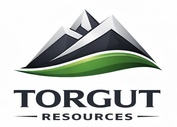 torgres.com